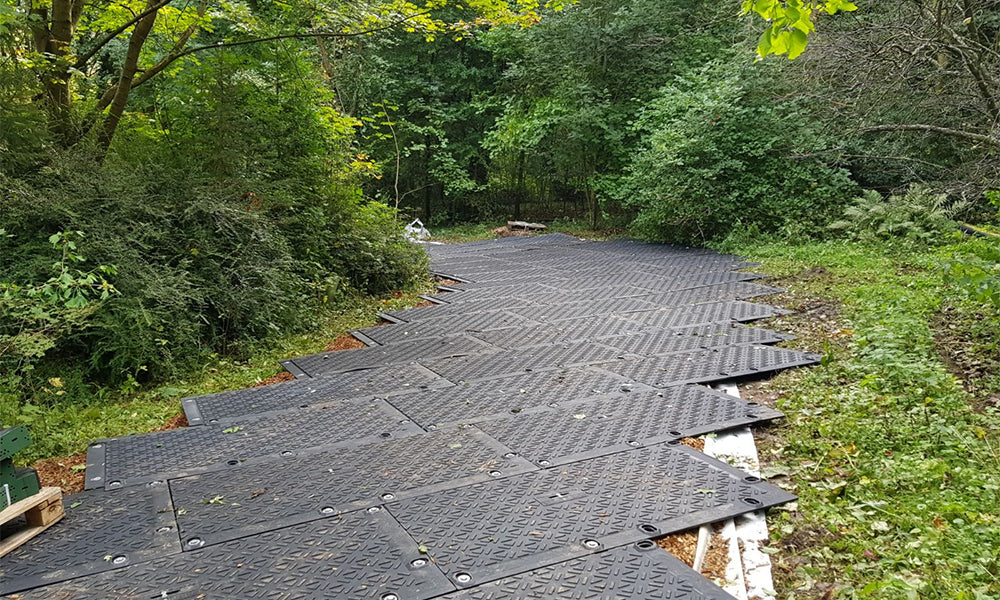 Woodland Access at Whyteleafe Station