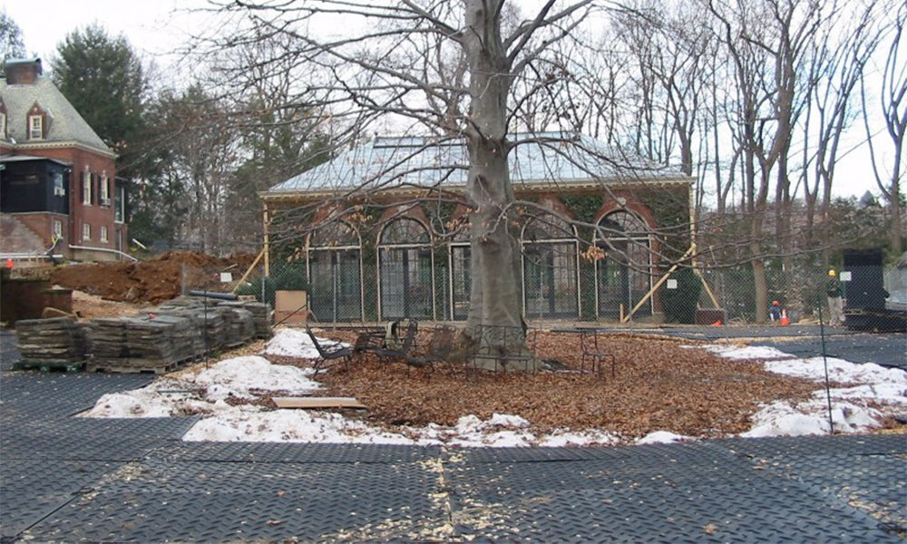 MultiTrack Protects Tree Roots