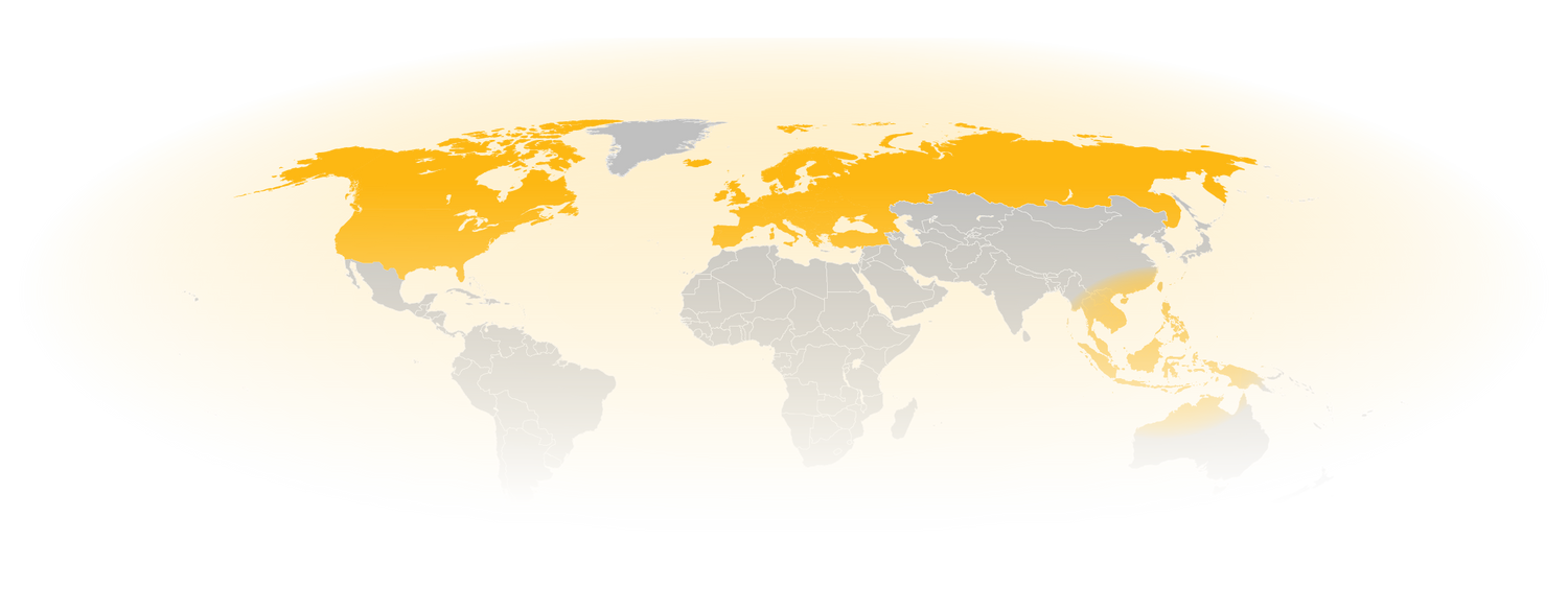 GroundGuards Global Is Live: A Clearer Route for International Orders