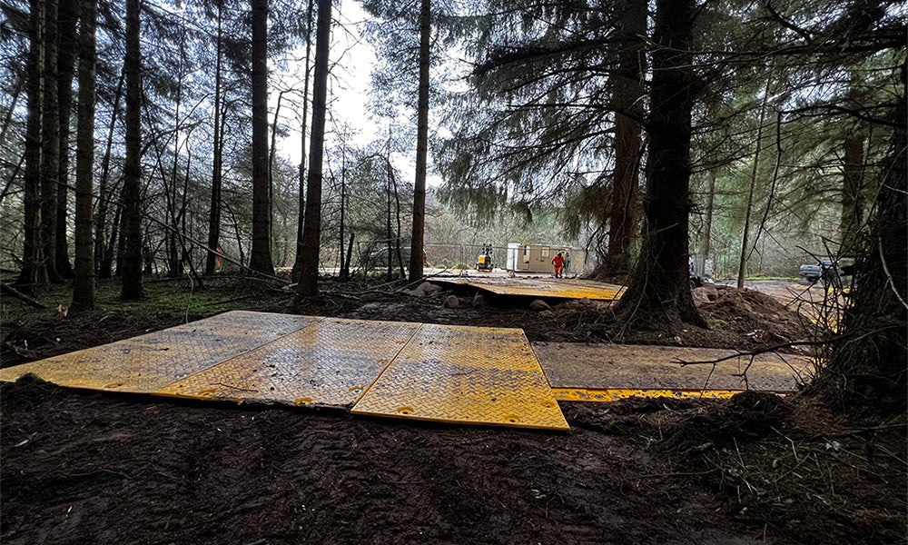 Forestry & Land Management