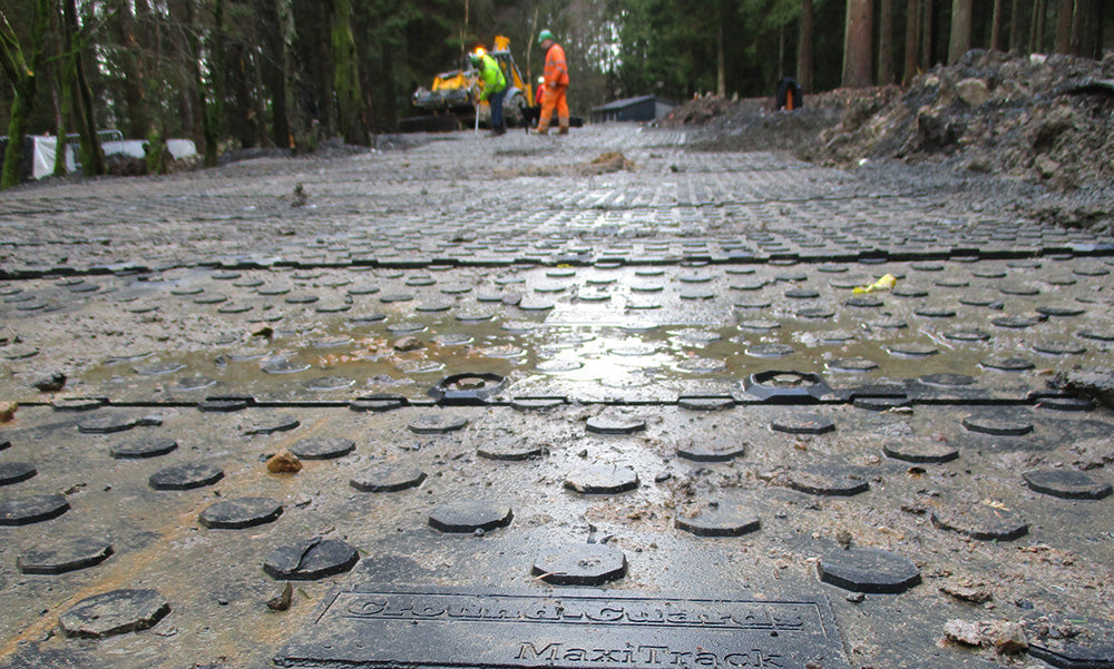 Forestry & Land Management