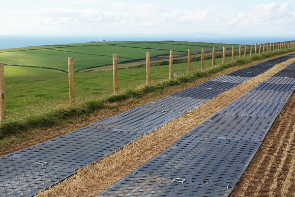 Twin trackway for remote access